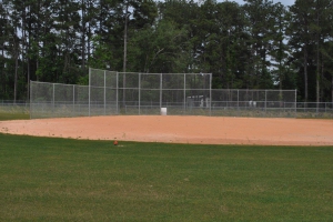 Track and Field Fence